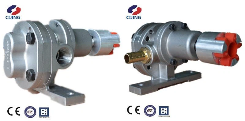 Frequency Gear Metering Pump